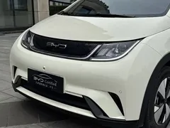 2023 BYD Dolphin 420km Fashion — фото 3