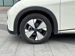 2023 BYD Dolphin 420km Fashion — фото 4