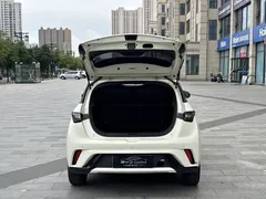 2023 BYD Dolphin 420km Fashion — фото 18