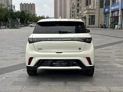 2023 BYD Dolphin 420km Fashion — фото 19