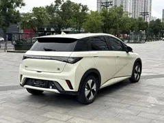 2023 BYD Dolphin 420km Fashion — фото 21