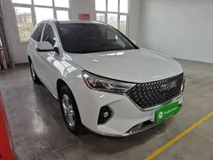 2021 Haval M6 Plus 1.5T DCT Elite, белый — фото 4