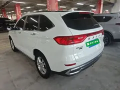 2021 Haval M6 Plus 1.5T DCT Elite, белый — фото 5