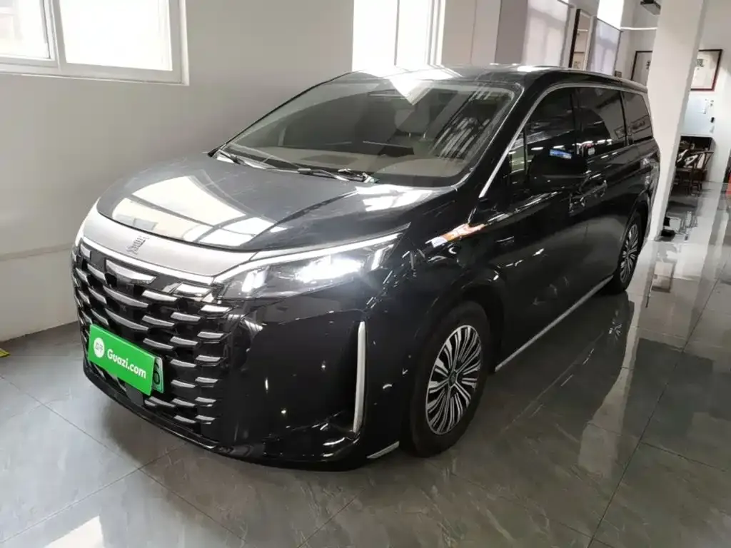 2025 BYD Xia PHEV DM-i 1.5T 100km Exceed