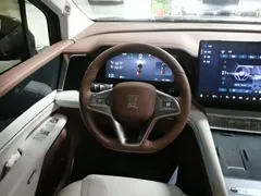 2025 BYD Xia PHEV DM-i 1.5T 100km Exceed, чёрный — фото 11