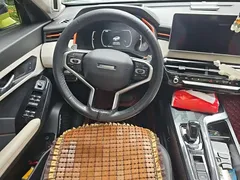 2021 Haval Chitu 1.5T — фото 6