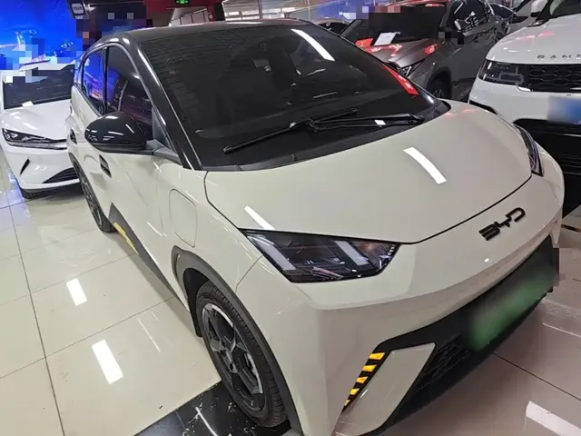 2023 BYD Seagull Freedom