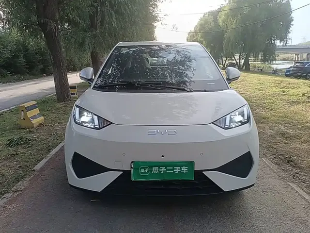 2025 BYD Seagull Smart Driving 305km Freedom