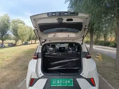 2025 BYD Seagull Smart Driving 305km Freedom, белый — фото 19