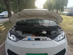 2025 BYD Seagull Smart Driving 305km Freedom, белый — фото 20