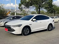 2024 BYD Qin PLUS Honor DM-i PHEV 55km Leading, белый — фото 1