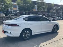2024 BYD Qin PLUS Honor DM-i PHEV 55km Leading, белый — фото 9