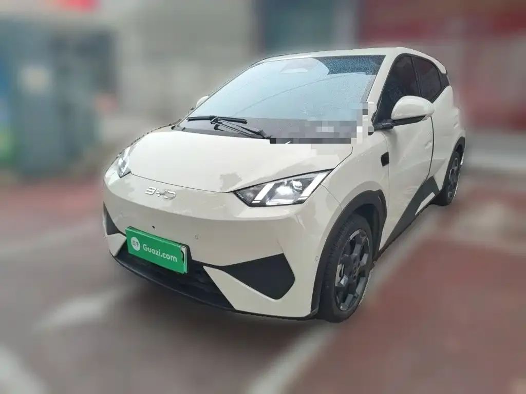 2025 BYD Seagull Smart Driving 305km Freedom