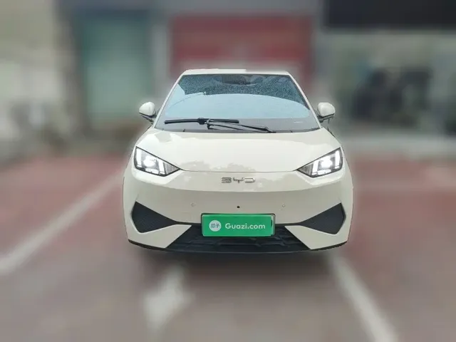 2025 BYD Seagull Smart Driving 305km Freedom