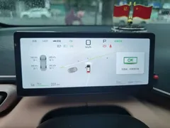 2025 BYD Seagull Smart Driving 305km Freedom, белый — фото 7