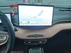 2025 BYD Seagull Smart Driving 305km Freedom, белый — фото 9