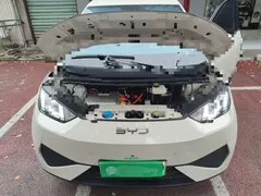2025 BYD Seagull Smart Driving 305km Freedom, белый — фото 16