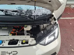 2025 BYD Seagull Smart Driving 305km Freedom, белый — фото 22
