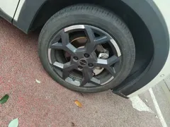 2025 BYD Seagull Smart Driving 305km Freedom, белый — фото 25