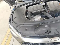 2023 BYD Han PHEV Champion 121KM Premium — фото 21
