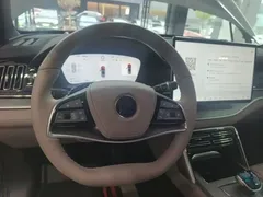 2025 BYD Tang DM-i PHEV 115km Flagship — фото 11