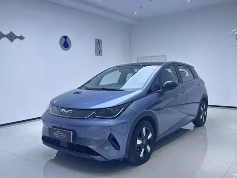 2025 BYD Dolphin Smart Driving 410km Fashion