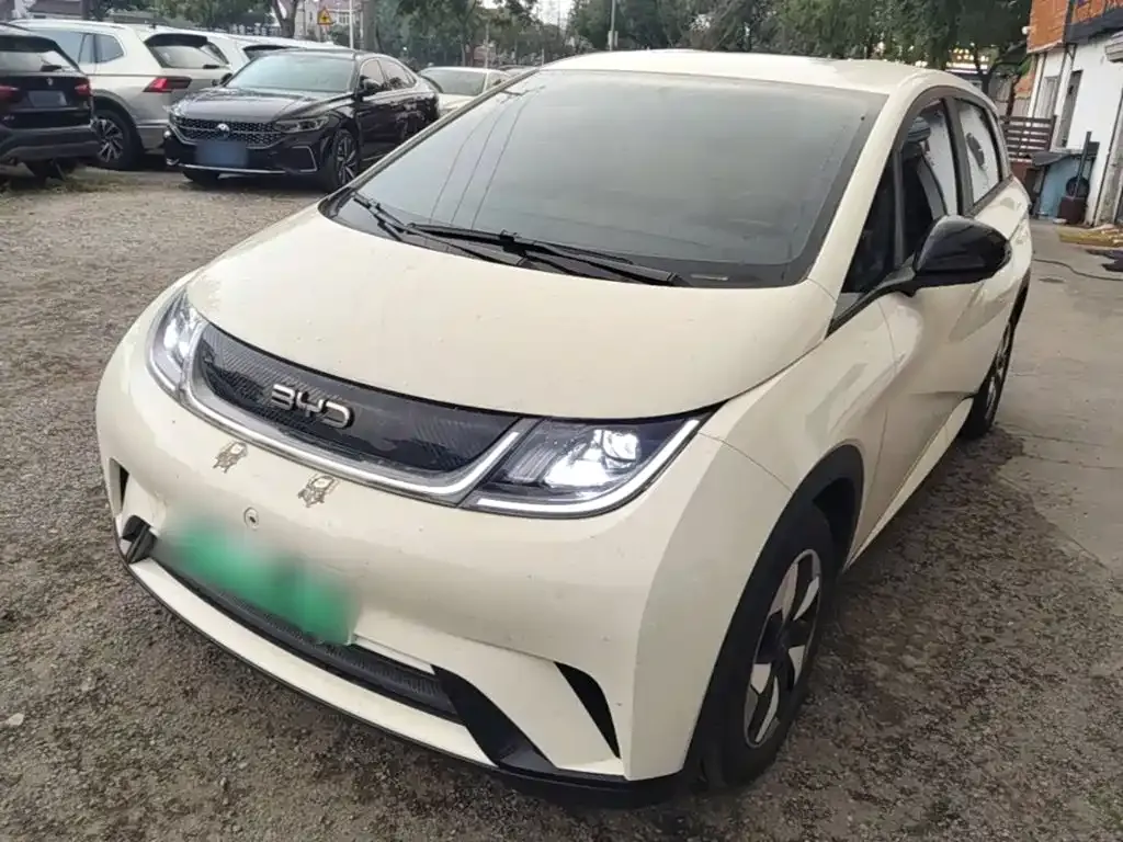 2024 BYD Dolphin Glory 420km Freedom