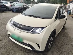 2024 BYD Dolphin Glory 420km Freedom — фото 2