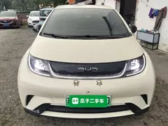 2024 BYD Dolphin Glory 420km Freedom — фото 3