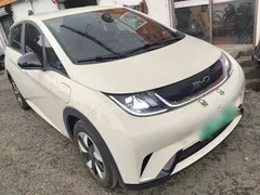 2024 BYD Dolphin Glory 420km Freedom — фото 4