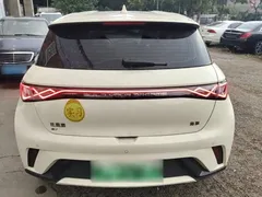 2024 BYD Dolphin Glory 420km Freedom — фото 6