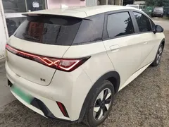 2024 BYD Dolphin Glory 420km Freedom — фото 7