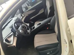 2024 BYD Dolphin Glory 420km Freedom — фото 15