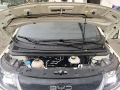 2024 BYD Dolphin Glory 420km Freedom — фото 20