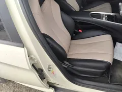 2024 BYD Dolphin Glory 420km Freedom — фото 25