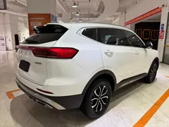 2023 Haval H6 1.5T AT Guochao Urban, белый — фото 4