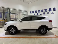 2023 Haval H6 1.5T AT Guochao Urban, белый — фото 7