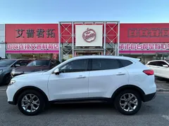 2021 Haval H6 1.5T AT Champion, белый — фото 7