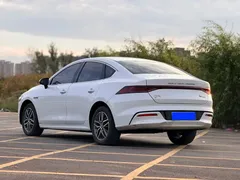 2024 BYD Qin PLUS Honor Edition EV 420km, белый — фото 4