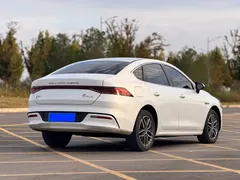 2024 BYD Qin PLUS Honor Edition EV 420km, белый — фото 6
