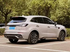 2023 Hongqi HS5 2.0T 4WD Qixiang Pro — фото 5