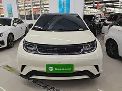 2024 BYD Dolphin Honor 420km Fashion — фото 3