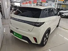 2024 BYD Dolphin Honor 420km Fashion — фото 7