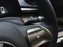 2024 BYD Dolphin Honor 420km Fashion — фото 14