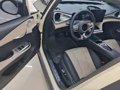 2024 BYD Dolphin Honor 420km Fashion — фото 16