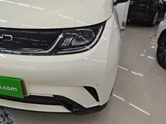 2024 BYD Dolphin Honor 420km Fashion — фото 24