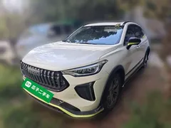 2022 Haval Chitu 1.5T, белый — фото 1