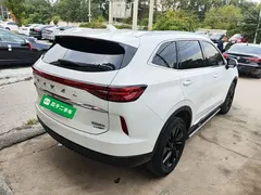 2021 Haval H6 3rd Gen 2.0T AT 4WD Supreme, белый — фото 7