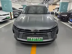 2024 BYD Destroyer 05 DM-i PHEV 55km Luxury — фото 2