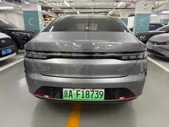 2024 BYD Destroyer 05 DM-i PHEV 55km Luxury — фото 4